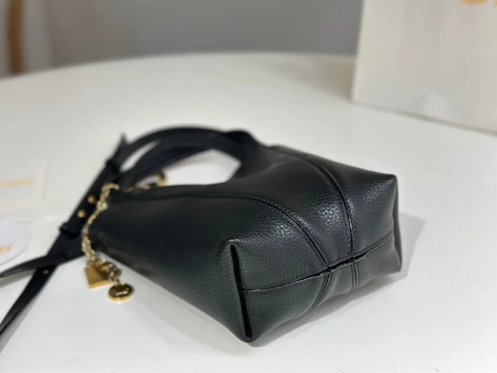 Chloe Bag 